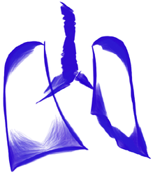 ITSC Logo